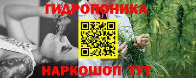 амф Заволжье