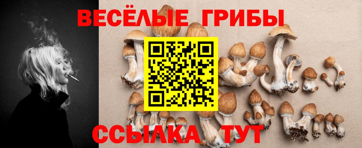 Куйбышев  Галлюциногенные грибы MAGIC MUSHROOMS  Галлюциногенные грибы Cubensis  Вход с VPN 