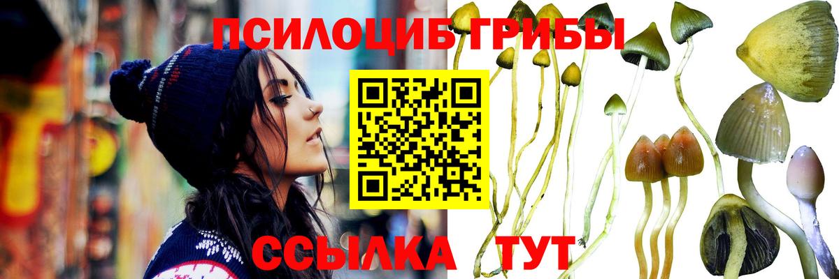 Псилоцибиновые грибы ЛСД Куйбышев